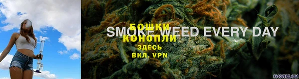 PSILOCYBIN Алзамай