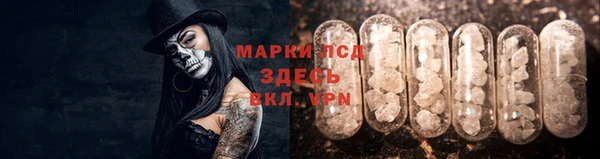 PSILOCYBIN Алзамай