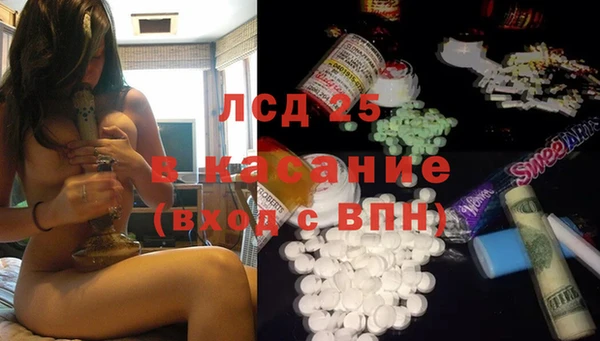 PSILOCYBIN Алзамай
