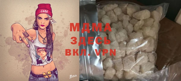 PSILOCYBIN Алзамай